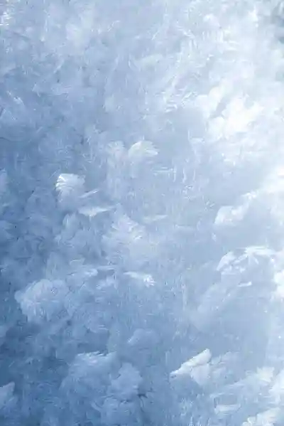 Frost
